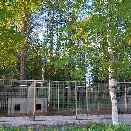 Koppelo Апартаменты